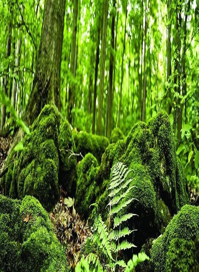 Galapagos Galápagos (05421) Terrarium Cling | Hi-Resolution Aquarium & Reptile Tank Backdrop | Static Vinyl Clings for Bearded Dragon, Gecko, Turtle, Snake, and Lizard Enclosures, 15" x 36", Forest - Image 1