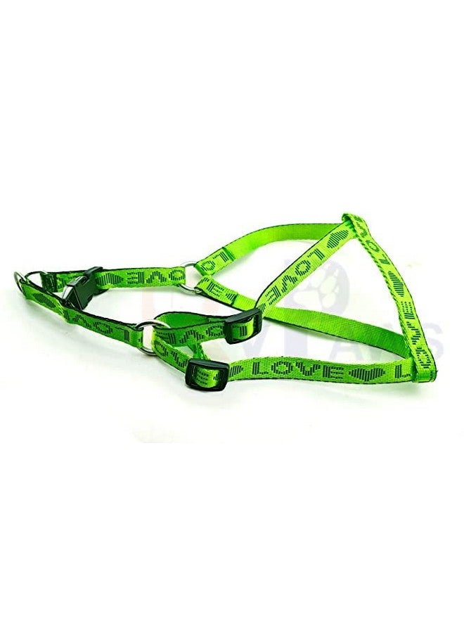 Combo 15 Mm Nylon Love Printed Harness And Adjustable Leash Set | 0.5 Inch Harness Set Dogs And Puppies (Light Green) - Image 2