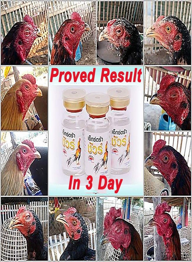 HULX EXTER Sure Rooster Booster Health Vitamin Support Fast Result, Stimulates & Improved Immunity Feed Nourishing Poultry (EXTER Sure Increasing Fast Energy 10 ML.) - Image 3
