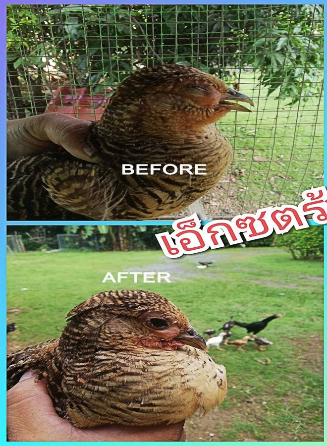 HULX EXTER Sure Rooster Booster Health Vitamin Support Fast Result, Stimulates & Improved Immunity Feed Nourishing Poultry (EXTER Sure Increasing Fast Energy 10 ML.) - Image 5