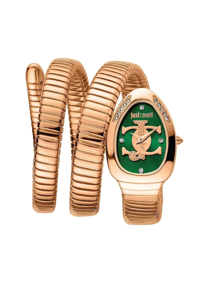 Just Cavalli ساعة جست كافالي النسائية غلام إيفو 5 JC1L228M0055 - Image 1