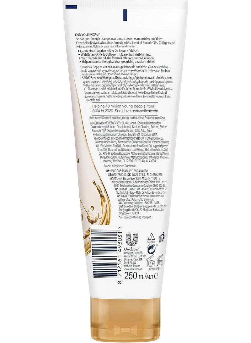 دوف شامبو دوف أدفانسد هير سيريز، زيت العناية الجافة، 250 مل - Image 2