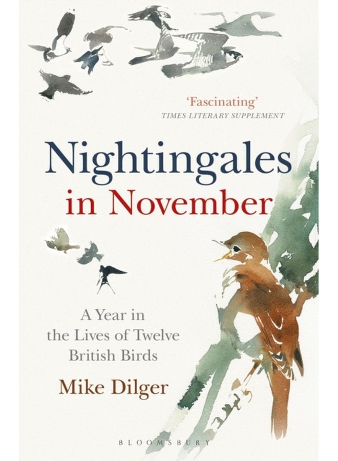 Nightingales in November A Year in the Lives of Twelve British Birds - Paperback