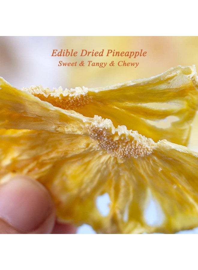 Mkostlich Mkostlich Dried Pineapple Slices, Dehydrated Pineapple Slices for Cocktail Garnish Drinks Baking Fruit Tea, No Sugar Added No Sulphur, Edible Dry Pineapple Flowers, 100g/3.52oz (Pack of 2)  - Image 1