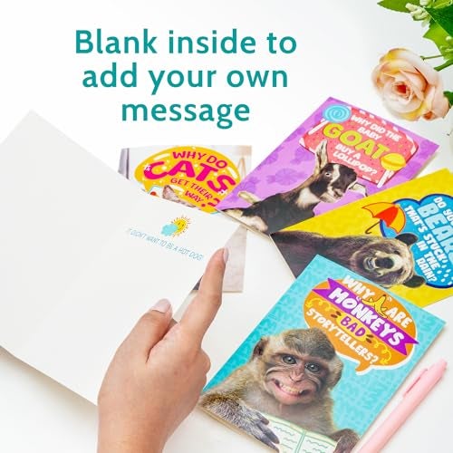 T MARIE 24 Funny Animal Joke Notecards With No Repeats - Humorous Bulk Cards Set - 4.5” x 6.25” Thinking of You Cards for Friends, Kids, Students, Teachers, Summer Camp and More - Image 3