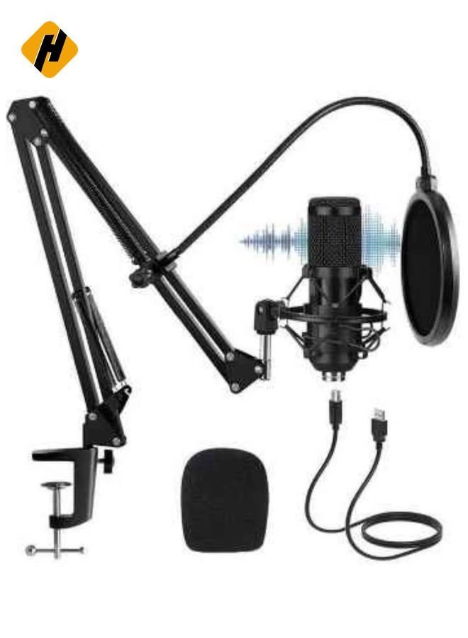 HuHa USB Condenser Microphone Kit with Adjustable Stand  - Image 1