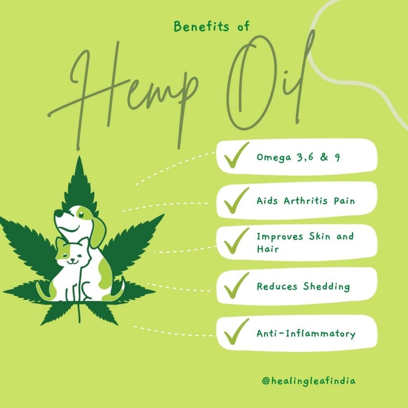 Healing Leaf Combo Hemp Seed Dog Protein Powder Supplement Coat, 100g,Magic Potion Pure Hemp Seed Oil | Organically Grown Benefits Nourish Dog’s Skin and Coat 90 ml - Image 5