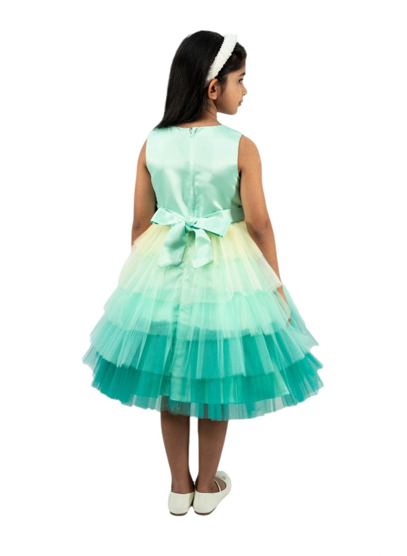 دىدانيالا فستان تُل دانتيلا أومبر - Image 4