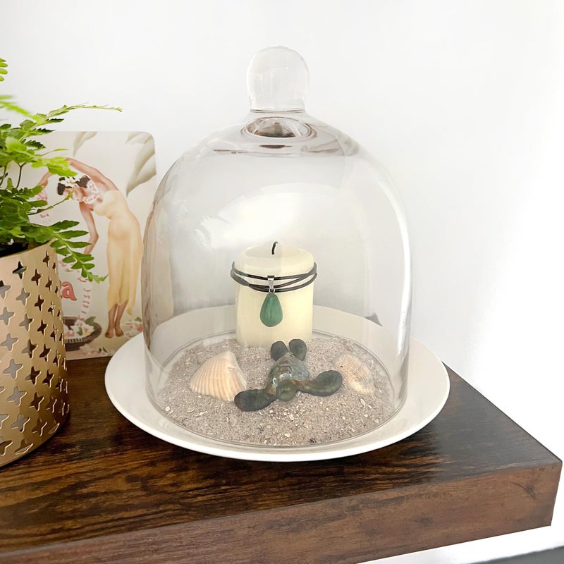 Plymor جرّة بيل زجاجية بقطر 6" وارتفاع 7" (صغيرة - الحجم الداخلي 5.75 بوصة × 5.75 بوصة) - Image 4