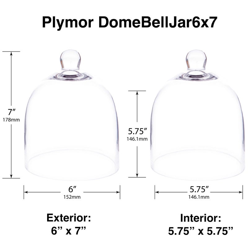 Plymor جرّة بيل زجاجية بقطر 6" وارتفاع 7" (صغيرة - الحجم الداخلي 5.75 بوصة × 5.75 بوصة) - Image 2