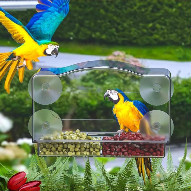 Bird Feeder for Window | Acrylic Mounted Feeding Tool,Window Mount Bird Feeder - for Indoor Outdoor Home Garden Patio Watching - Image 3