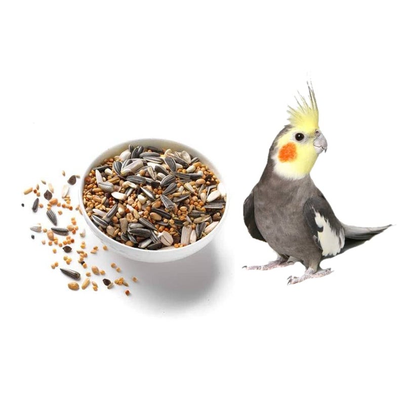 Omiyage أومياغي® مزيج بذور مميز للطيور الكبيرة - عبوة 1 كجم | غذاء طبيعي وصحي للكوكاتيل، طيور الحب، كونور، الببغاوات | تركيبة لجميع المراحل | دعم جهاز المناعة - Image 4