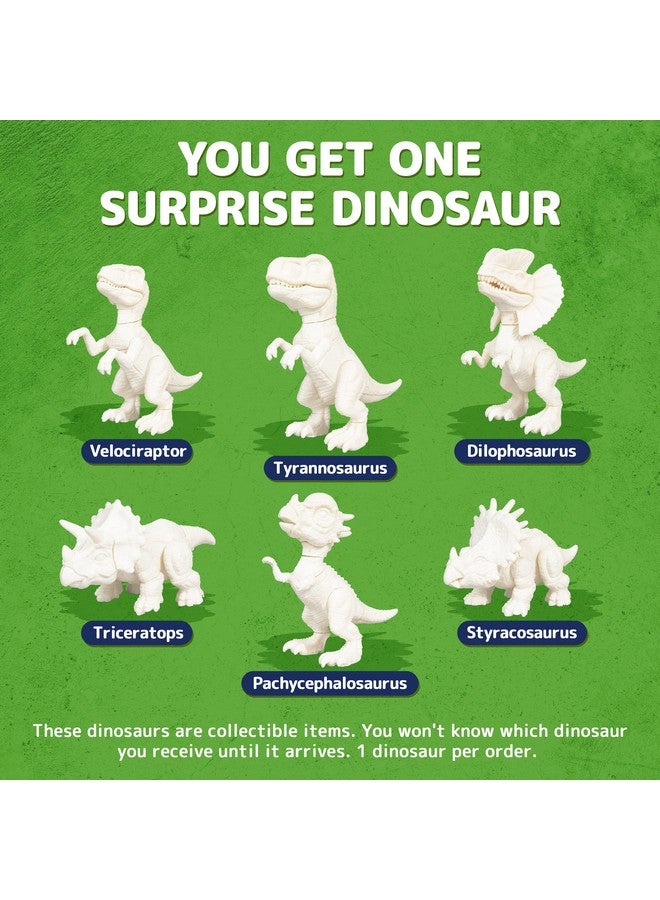 Prextex Build & Paint Your Own Dino Kit (1 Pack) ; Collectible Dinosaur Toy Surprise Dino Building Toy Arts & Crafts For Kids Ages 68 Painting/Art Set Kids Gifts Boy&Girl Learning Toy Dino Egg - Image 5