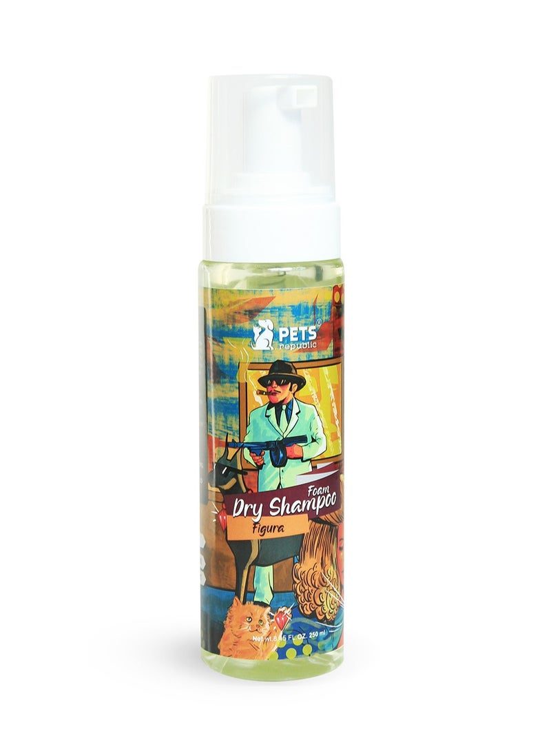 PETS Republic Foam Dry Shampoo with figure  250 ml