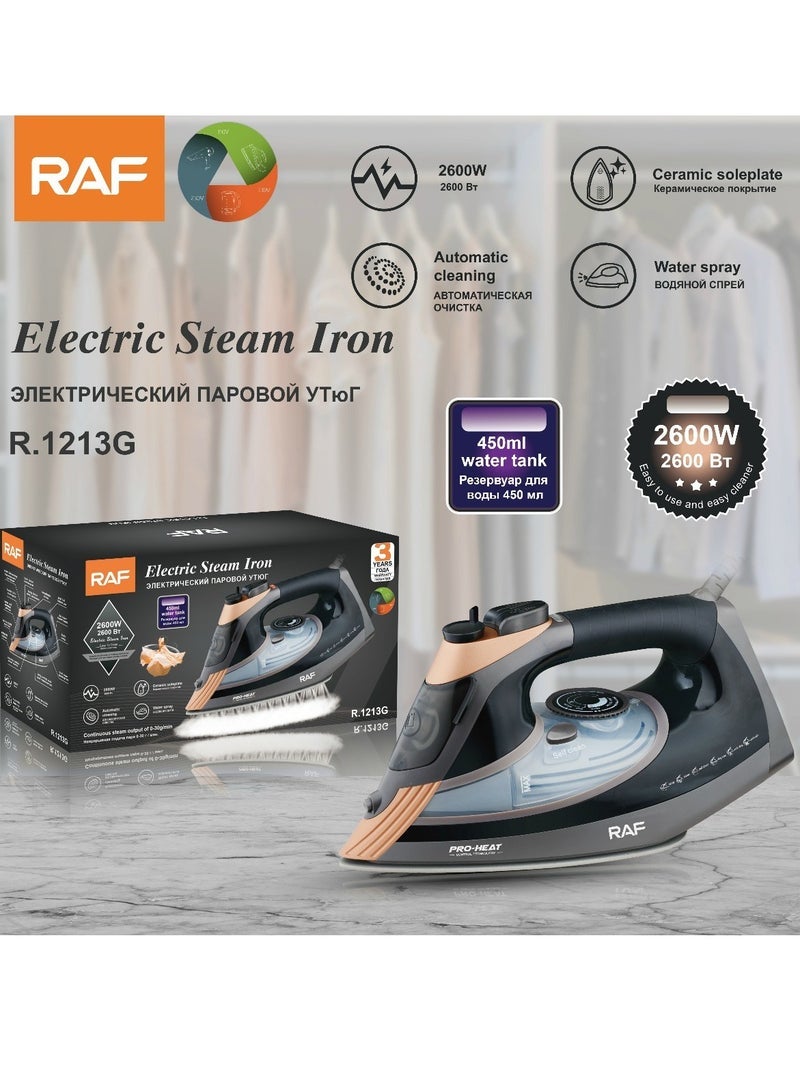 آر إيه أف مكواة بخار منزلية محمولة، ماكينة كي صغيرة محمولة - Image 2