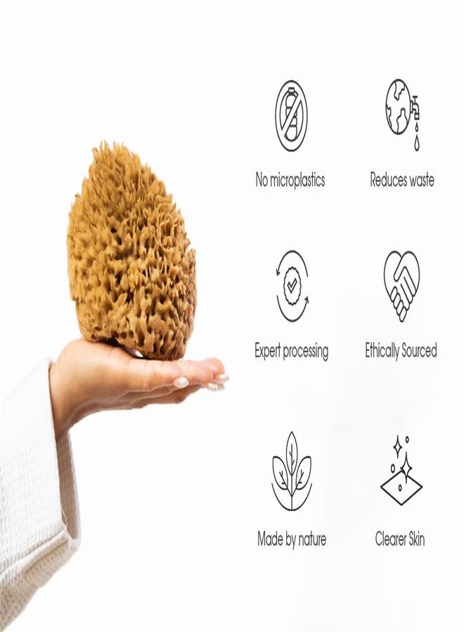 Naroa Soft Natural Sponge X Large | Gentle Sea Loofah for Bathing Smooth Skin | Unbleached Shower Body Scrubber Puff | Bath & Spa - Image 5