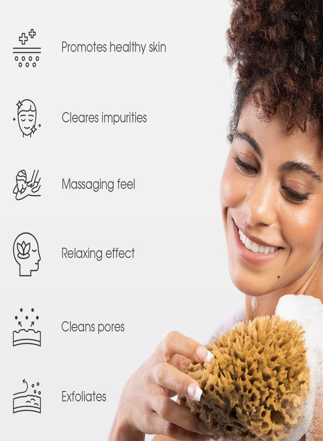 Naroa Soft Natural Sponge X Large | Gentle Sea Loofah for Bathing Smooth Skin | Unbleached Shower Body Scrubber Puff | Bath & Spa - Image 2