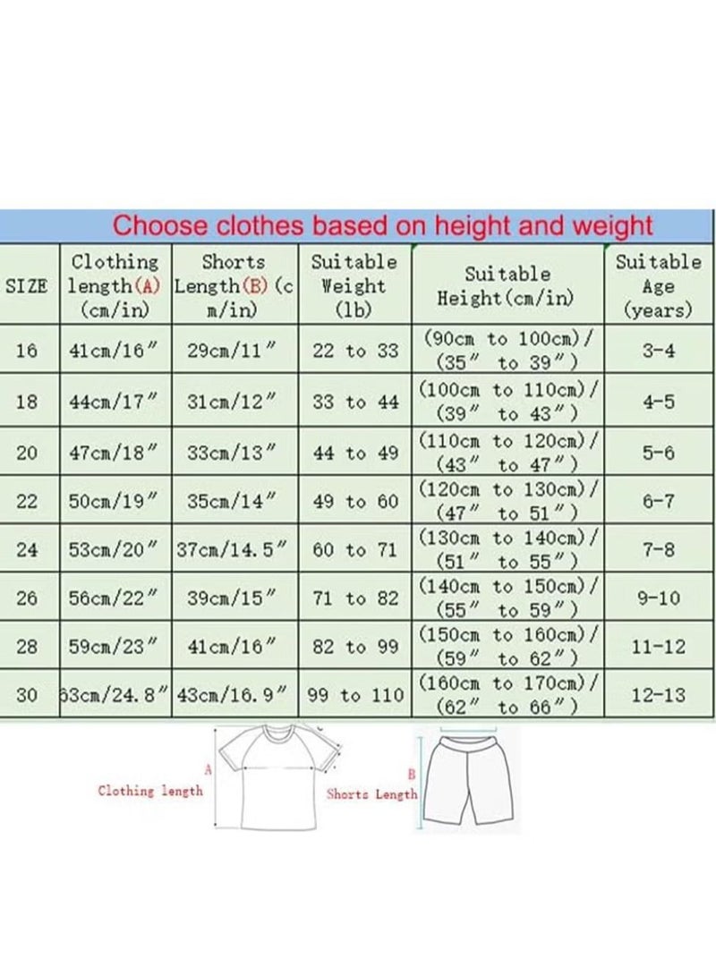 ليشب Kids Football Jersey Set -#10 Complete Soccer Jersey Set with 1 Jersey, 1 Short and 1 Pair of Socks, Perfect Gift for Kids Children and Football Fans (باللغة الإنجليزية) - Image 2