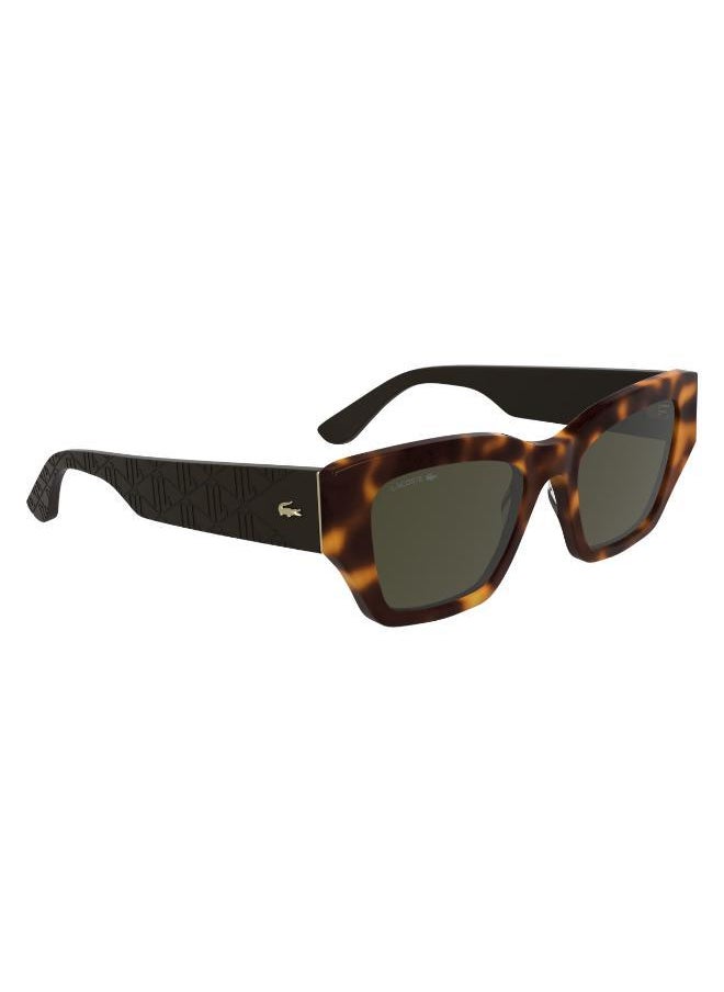 LACOSTE Butterfly Sunglasses  - Image 3