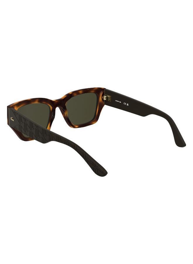 LACOSTE Butterfly Sunglasses  - Image 5
