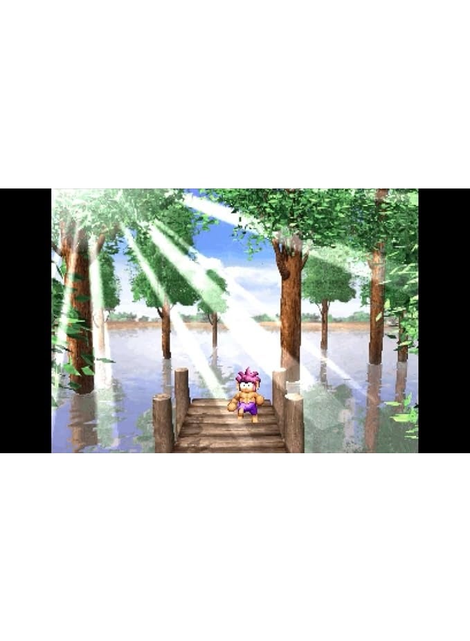 Sony Tomba Special Edition for PS5 - PlayStation 5 - New Original - Image 3