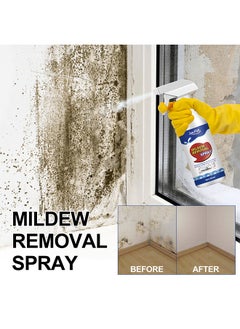 JUE-FISH Mildew Removal Spray With Towel And Brush, All Purpose Household Cleaner Spray, Suitable For Walls,Tiles, Floors, Sinks, Bathtubs And Toilets, Spray Cleaner For Ceiling, 60ML  - Image 4