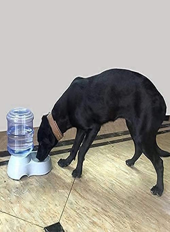 GLIVE (LABEL) Pet Feeder Food Dispenser/Water Dispenser for Dogs & Cats, Self-Dispensing Gravity Plastic Pet Food Feedeer Water Dispenser Bowl (Pet Water Feeder Bowl) - Image 2