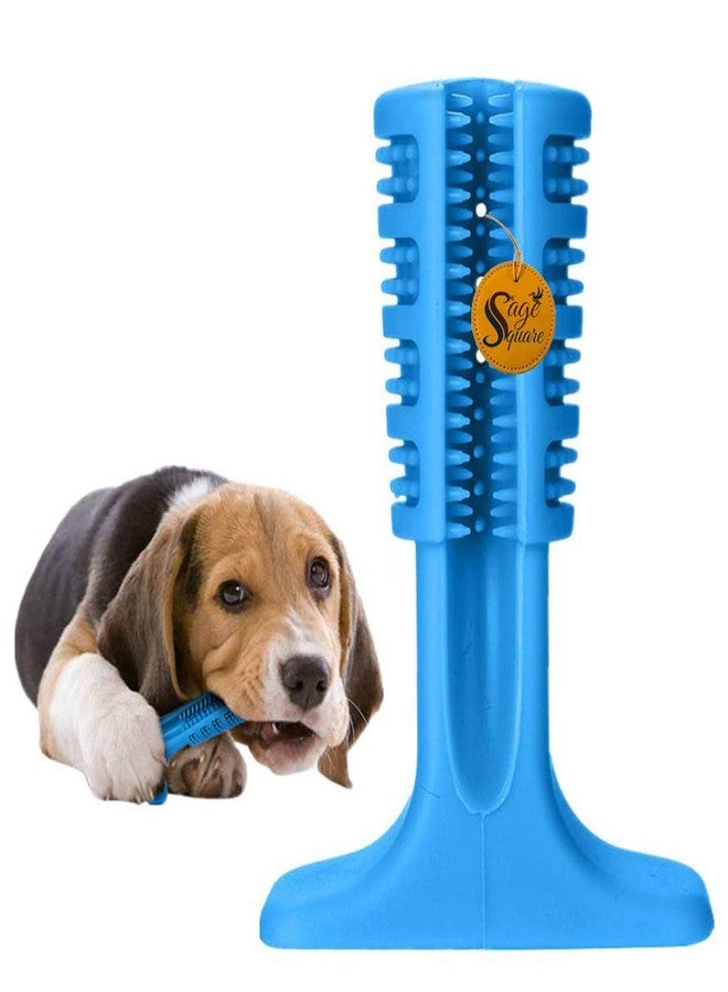 سايج سكوير عصا تنظيف أسنان الكلاب من سيج سكوير - عصا تنظيف أسنان الكلاب للعناية بالفم والأسنان، مصنوعة من المطاط الطبيعي غير السام، ألعاب مضغ للحيوانات الأليفة (عشوائية) - Image 1