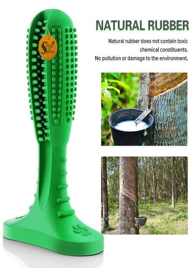 سايج سكوير عصا تنظيف أسنان الكلاب من سيج سكوير - عصا تنظيف أسنان الكلاب للعناية بالفم والأسنان، مصنوعة من المطاط الطبيعي غير السام، ألعاب مضغ للحيوانات الأليفة (عشوائية) - Image 5