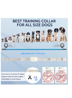 Dog Training Collar with Remote, IP68 Waterproof Dog Collar Light with 3 Safe Training Modes Rechargeable Bark Collar Electronic Shock Collar for Small Medium Large Dogs Training Collars - pzsku/Z8B45D5832C4CC0366B08Z/45/_/1717029472/87b60a33-e866-4320-bda2-7e8e7ec05414