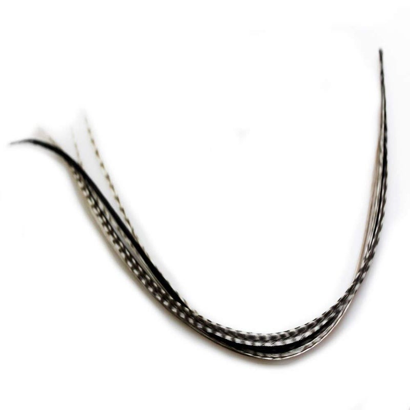Zebrz Feather Hair Extension 47 in Length with 5 Salon Quality Feathers for Hair Extension with Black  White American Rooster Feathers