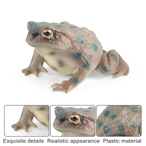 AENIMELY Realistic Solid Frog and Toad Animal Figurines for Kids Educational Reptile Toys Ideal for Birthday Party Favors and Science ProjectsGrey - Image 5