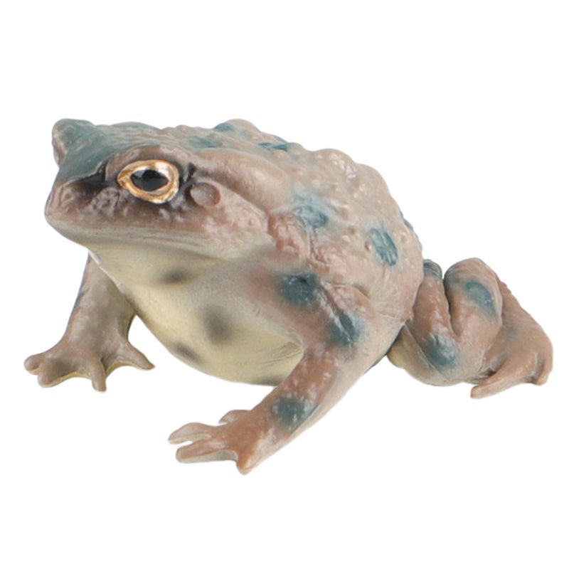 AENIMELY Realistic Solid Frog and Toad Animal Figurines for Kids Educational Reptile Toys Ideal for Birthday Party Favors and Science ProjectsGrey - Image 3