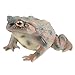 AENIMELY Realistic Solid Frog and Toad Animal Figurines for Kids Educational Reptile Toys Ideal for Birthday Party Favors and Science ProjectsGrey - Image 2