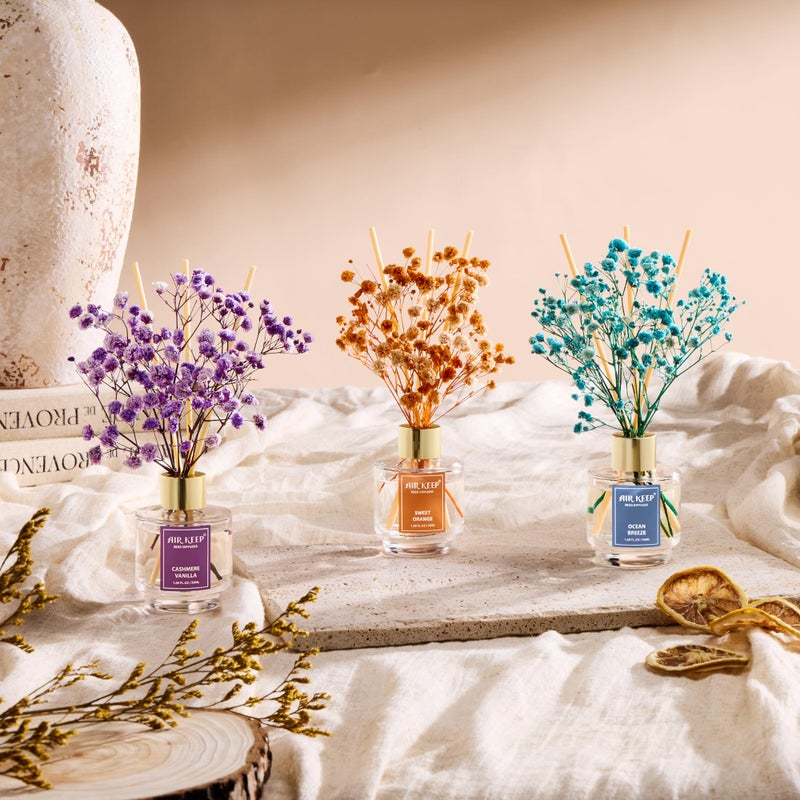 Airkeep Reed Diffuser Set of 3, Ocean Breeze Sweet Orange Cashmere Vanilla Oil Reed Diffusers for Bedroom Living Room Office Aromatherapy Oil Reed Diffuser for Gift 50ml x 3 - Image 4