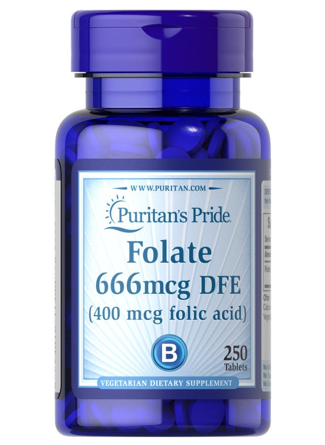 Puritan's Pride - 250 Tablets Folate 666 Mcg Dfe (Folic Acid 400 Mcg) - Image 1