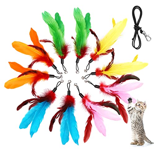 MeoHui 11PCS Cat Feather Toys Refills 10PCS Feathers and 1PC String Interactive Cat Wand Toy Replacement for Bored Indoor Adult Cats Kittens - Image 1