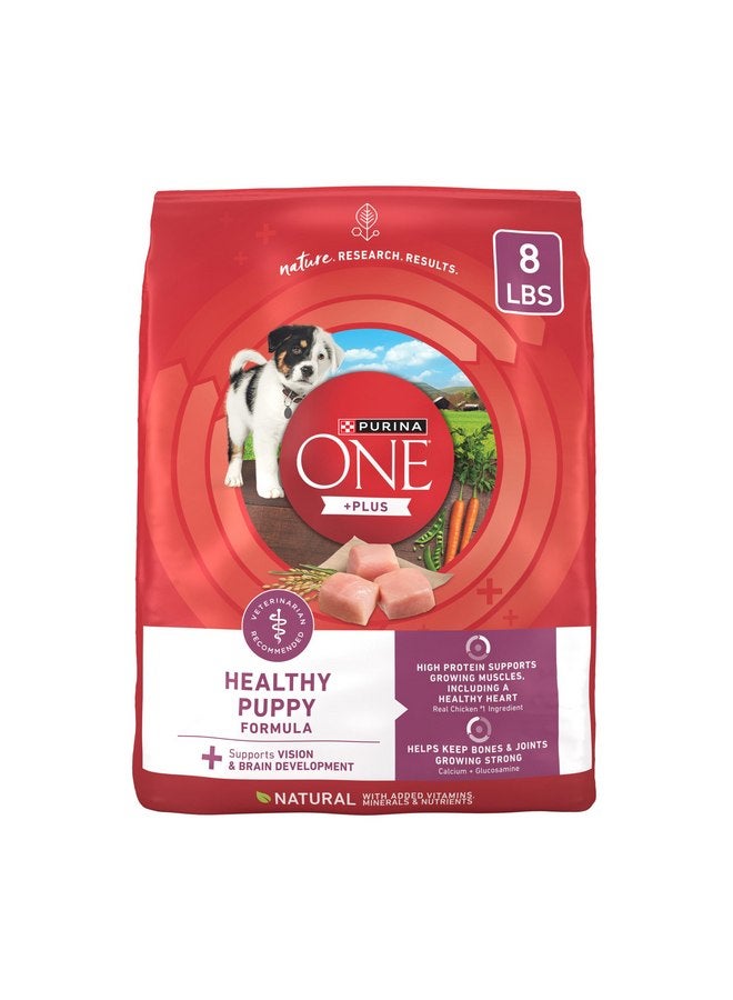 بيورينا ون طعام جاف طبيعي عالي البروتين من Purina ONE Plus Healthy Puppy Formula للجراء مع إضافة الفيتامينات والمعادن والعناصر المغذية - كيس 8 رطل - Image 1
