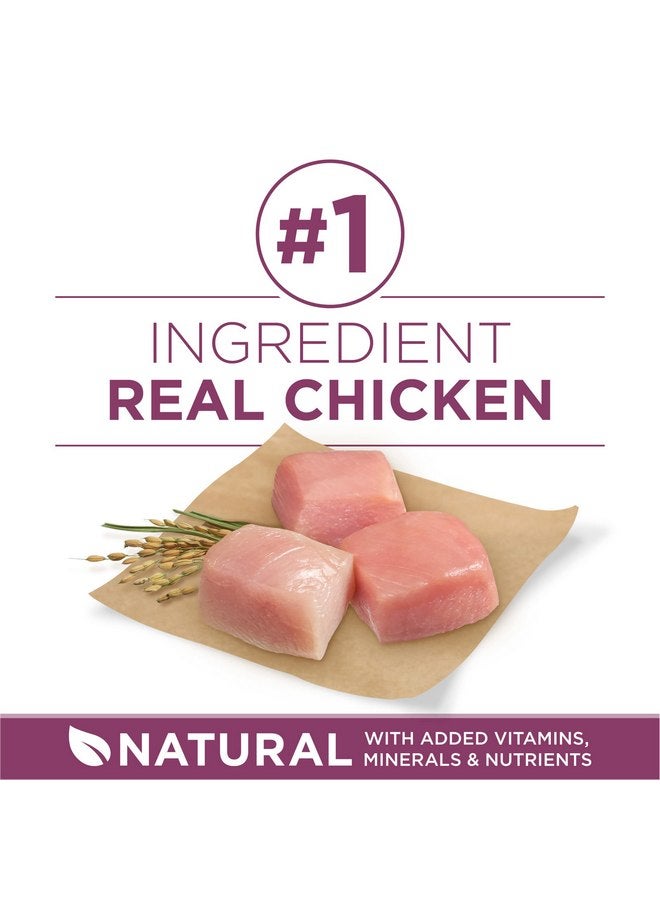 بيورينا ون طعام جاف طبيعي عالي البروتين من Purina ONE Plus Healthy Puppy Formula للجراء مع إضافة الفيتامينات والمعادن والعناصر المغذية - كيس 8 رطل - Image 3