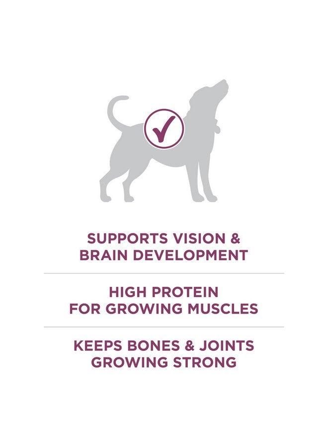 بيورينا ون طعام جاف طبيعي عالي البروتين من Purina ONE Plus Healthy Puppy Formula للجراء مع إضافة الفيتامينات والمعادن والعناصر المغذية - كيس 8 رطل - Image 5