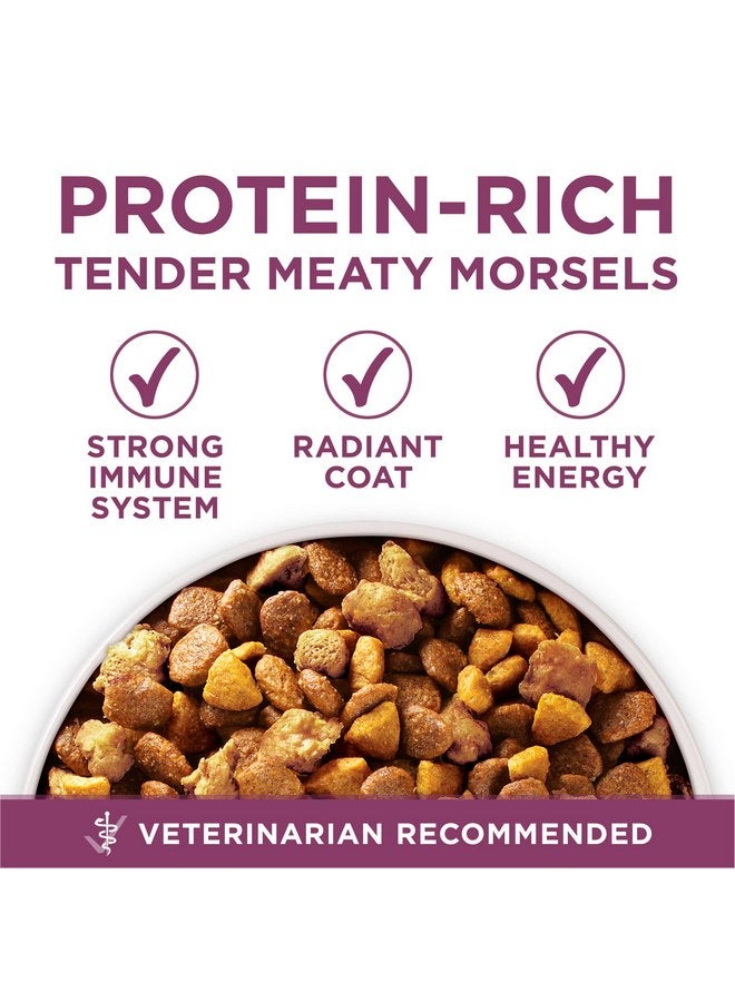 بيورينا ون طعام جاف طبيعي عالي البروتين من Purina ONE Plus Healthy Puppy Formula للجراء مع إضافة الفيتامينات والمعادن والعناصر المغذية - كيس 8 رطل - Image 2