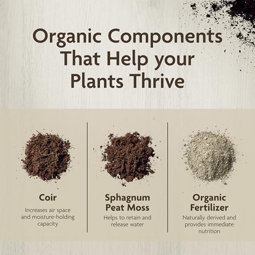 Miracle-Gro Organic Indoor Potting Mix - Protects Against Over and Under Watering, Planting Soil for Indoor Container Plants, Houseplants and Starter Plants, OMRI Listed, 16 qt. - Image 5