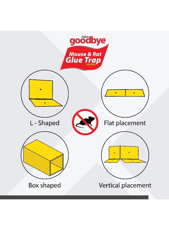 Dutch & Habro فخ لاصق للفئران ماكسيما وداعًا - Image 4