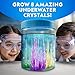Blue Marble National Geographic Underwater Crystal Growing Aquarium Science Kit Grow 8 Colorful Crystals Underwater 360Degree Secure Viewing Canister - Image 4