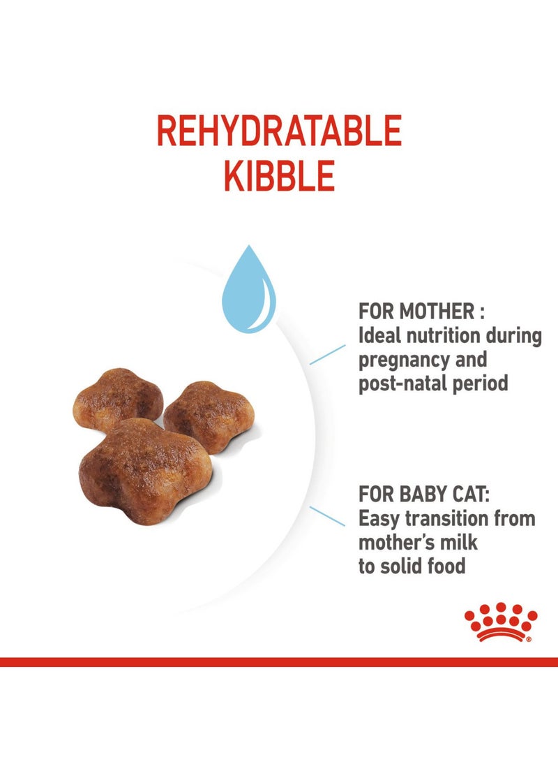 رويال كانين طعام القطط رويال كانين فيلين للتغذية الصحية للأم والطفل، 10 كجم - Image 3