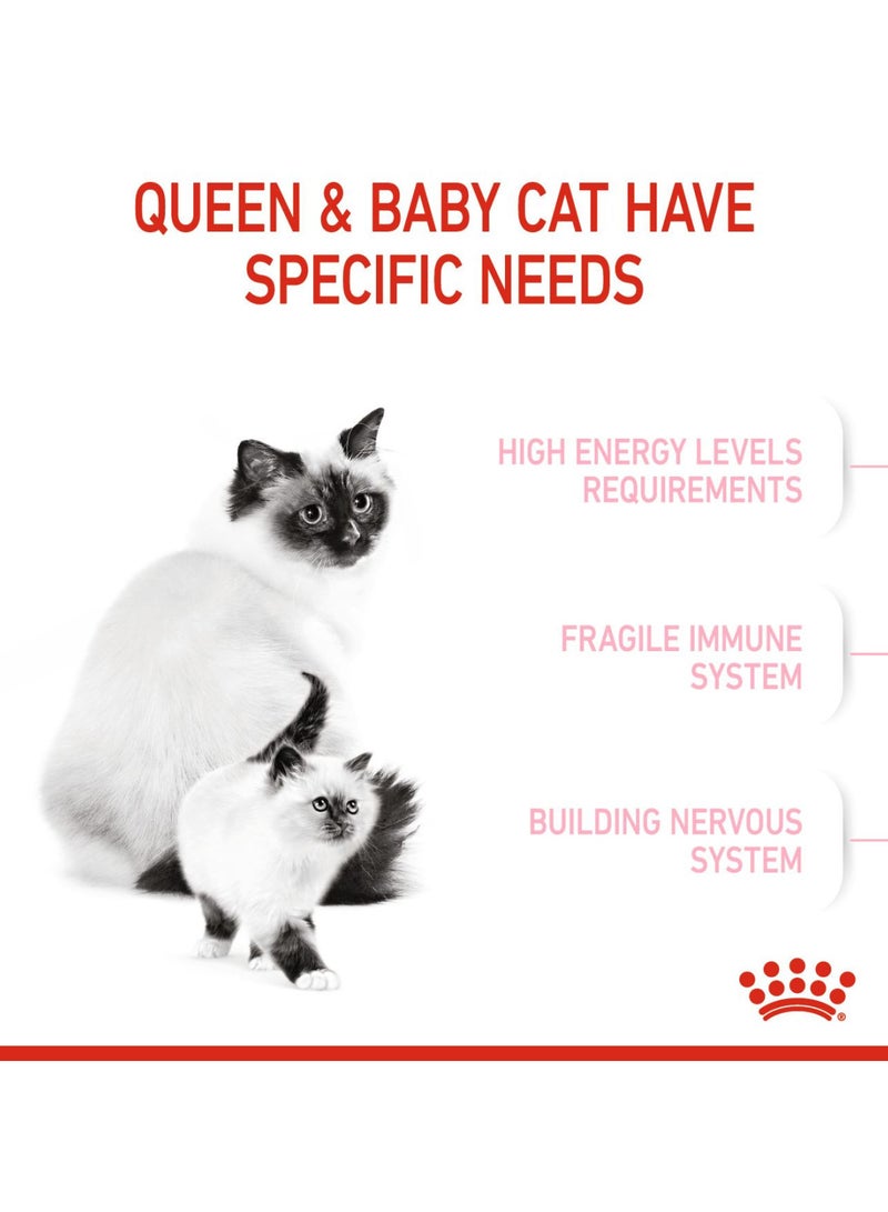 رويال كانين طعام القطط رويال كانين فيلين للتغذية الصحية للأم والطفل، 10 كجم - Image 4