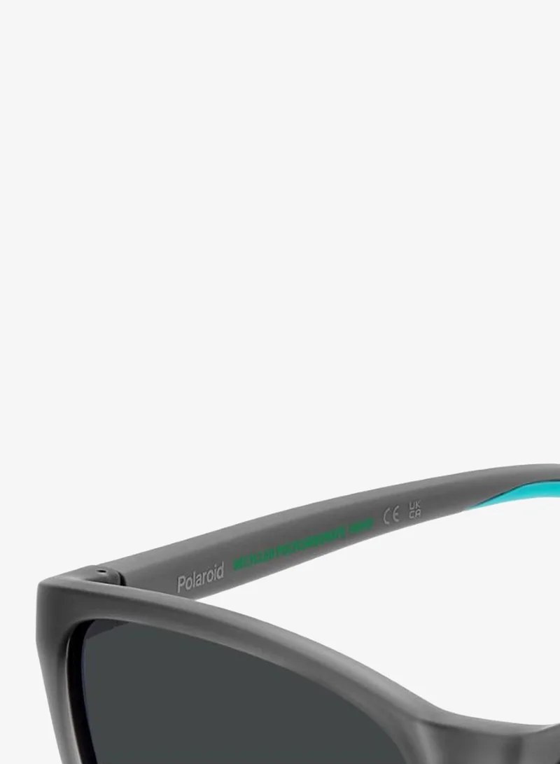 Polaroid  Square Sunglasses for Women | Best Price UAE