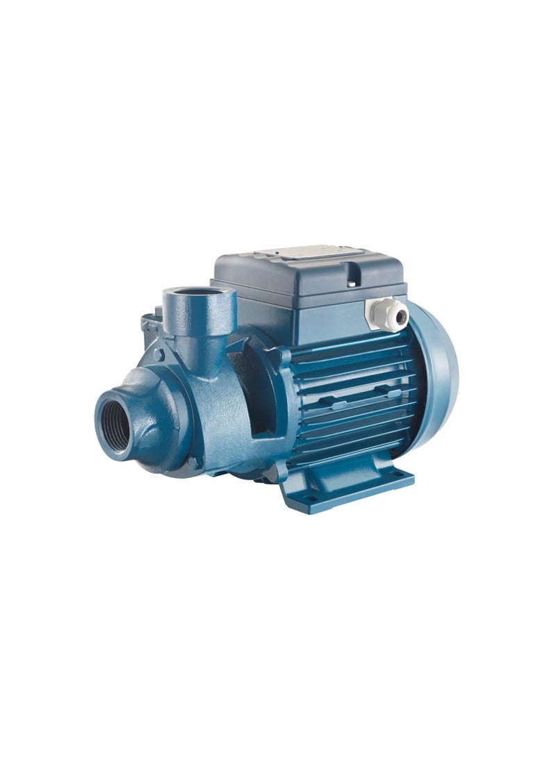 Pentax 0.5 HP Pump(ITALY) - Image 1