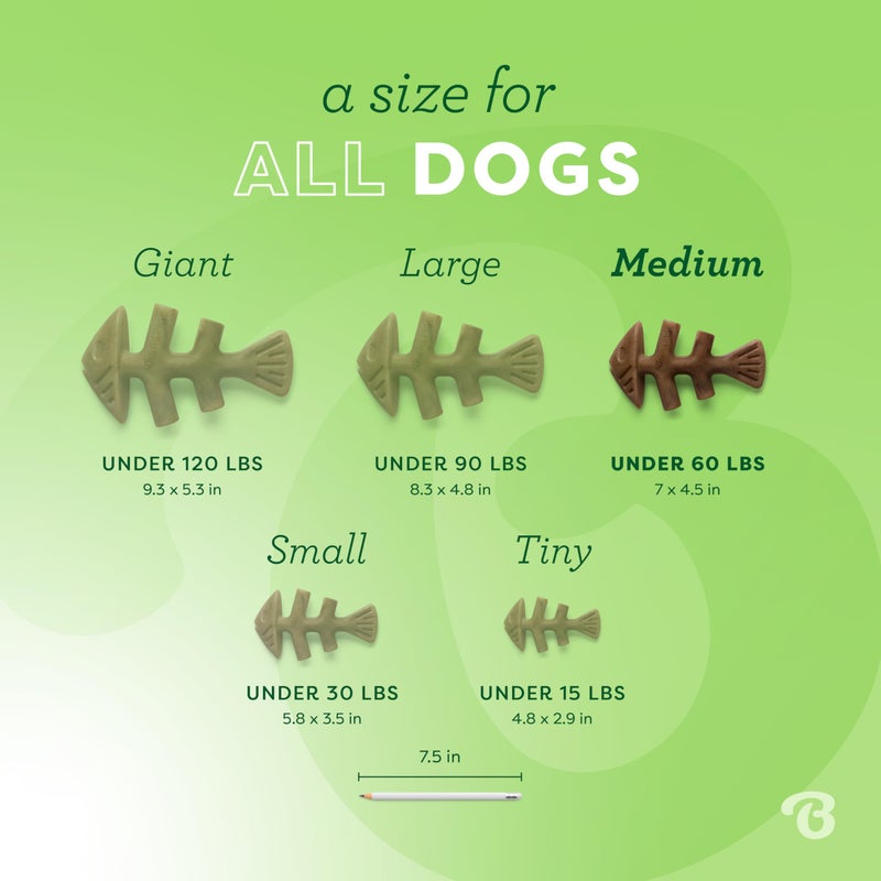 Benebone Fishbone Durable Dog Chew Toy for Aggressive Chewers, Real Fish, Made in USA, Medium - Image 4