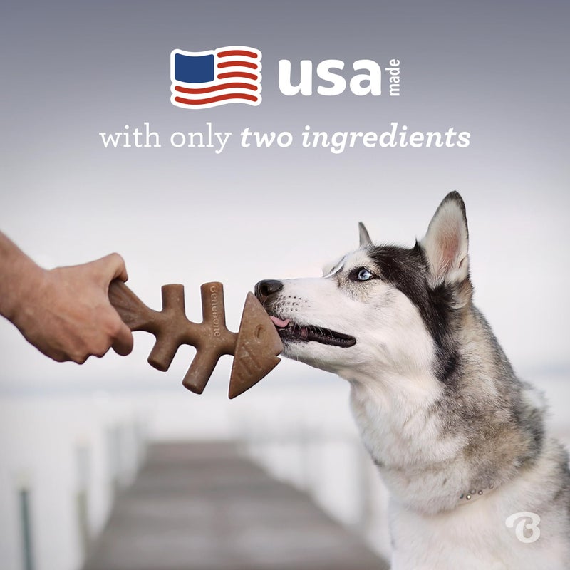 Benebone Fishbone Durable Dog Chew Toy for Aggressive Chewers, Real Fish, Made in USA, Medium - Image 5
